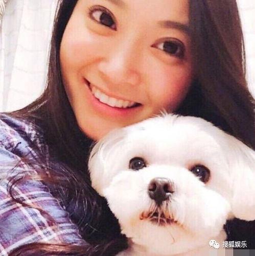 娱乐吃瓜酱忠犬琪哥,娱乐吃瓜酱的忠实守护者