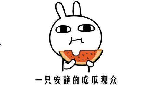 抖音娱乐圈吃瓜的是谁啊,揭秘幕后真相