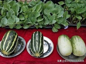 大娱乐吃瓜,大娱乐吃瓜,揭秘明星幕后故事