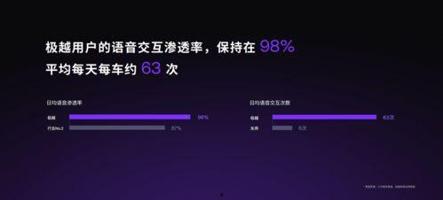 国产a级一级久久毛片,揭秘一级久久毛片背后的故事
