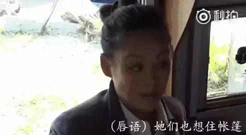 娱乐圈吃瓜真假,真假瓜果纷飞,揭秘明星幕后真相
