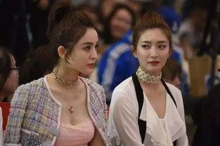 娱乐圈吃瓜真假,真假瓜果纷飞,揭秘明星幕后真相